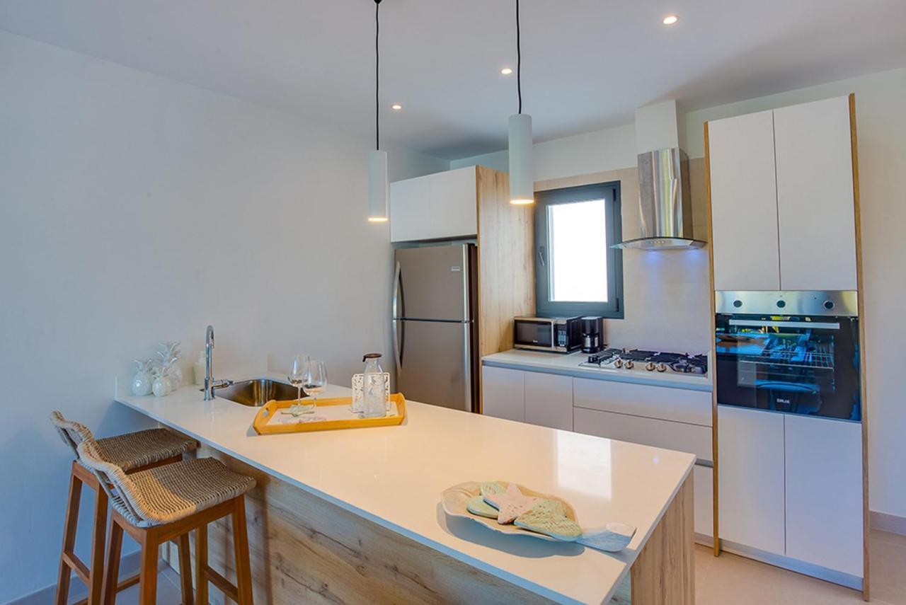 Stylish And Spacious Penthouse With Bbq And Picuzi Apartment *